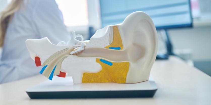 The Audiology Offices Blog